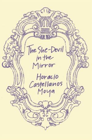 Cover of the book The She-Devil in the Mirror by Muriel Spark