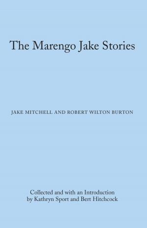 Cover of the book The Marengo Jake Stories by Wayne J. Urban