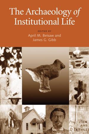Book cover of The Archaeology of Institutional Life