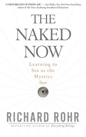 Cover of the book The Naked Now by Richard Rohr, Andreas Ebert