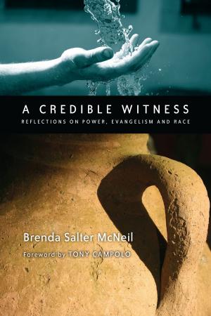 bigCover of the book A Credible Witness by 