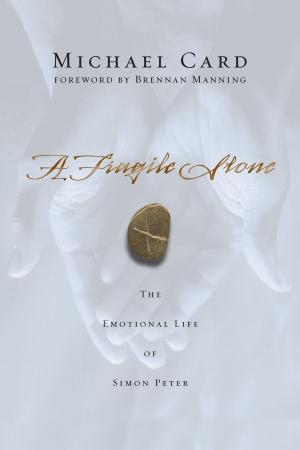 Cover of the book A Fragile Stone by Phillip E. Johnson, John Mark Reynolds