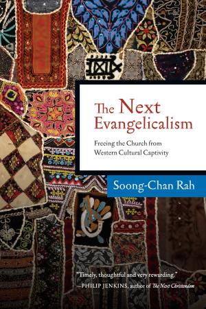 Cover of the book The Next Evangelicalism by Ken Gire