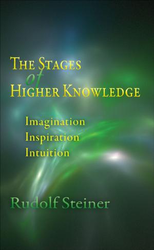 bigCover of the book Stage of Higher Knowledge by 