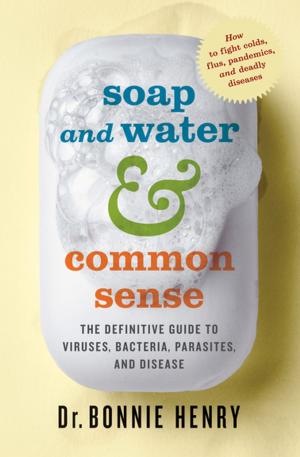 Cover of the book Soap and Water and Common Sense by R.D. Laing