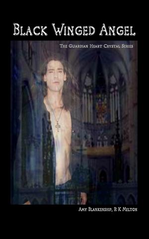 Cover of the book Black Winged Angel by Katherine A Smith
