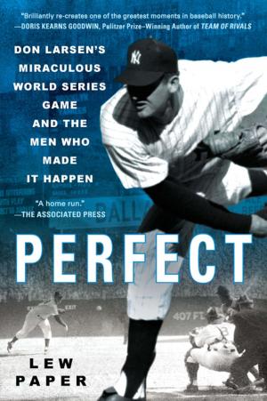 Cover of the book Perfect by Daniela D'angelo