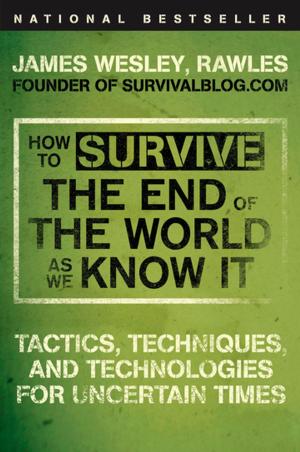 Cover of the book How to Survive the End of the World as We Know It by Glen L K Palmer