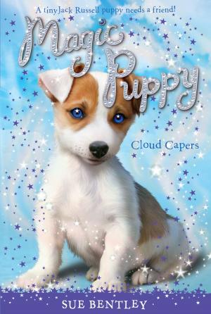 Cover of the book Cloud Capers #3 by Ellen Potter