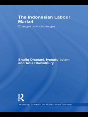 Cover of the book The Indonesian Labour Market by Edgar Wilson