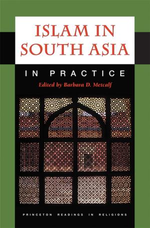 Cover of the book Islam in South Asia in Practice by Xinian Fu