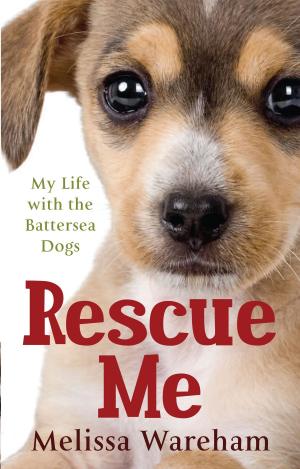 Cover of the book Rescue Me by A. K. Davidson