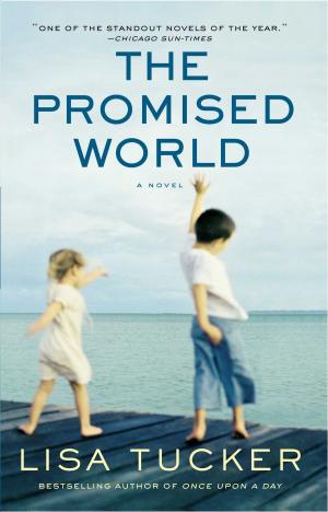 Cover of the book The Promised World by Margie Fedelthon
