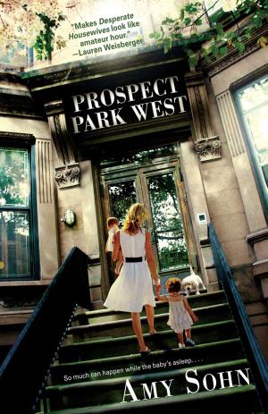 Cover of the book Prospect Park West by Jill Conner Browne