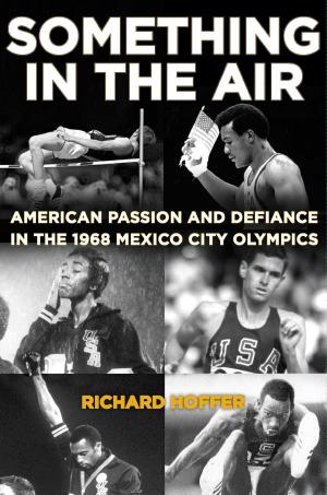 Cover of the book Something in the Air by Troy Anderson