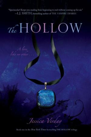 Cover of the book The Hollow by R.L. Stine