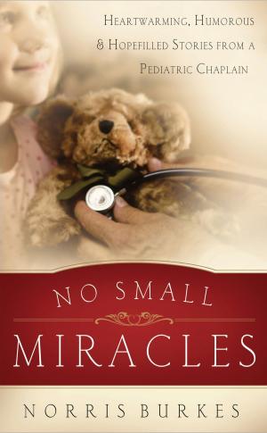 Cover of the book No Small Miracles by Arlin Ewald Nusbaum