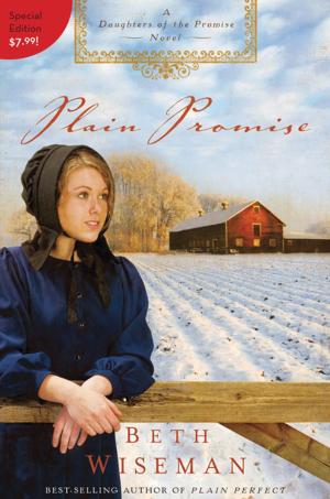 Cover of the book Plain Promise by Rachel Held Evans