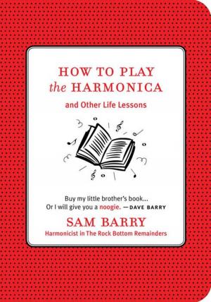 Cover of the book How To Play the Harmonica by MaryJane Butters