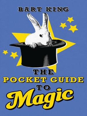 Cover of the book Pocket Guide to Magic by Evandro Caregnato