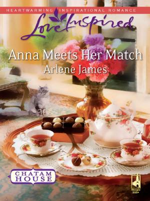 Cover of the book Anna Meets Her Match by Hannah Alexander
