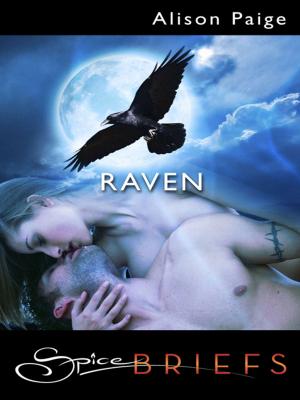 Cover of the book Raven by Crystal Jordan