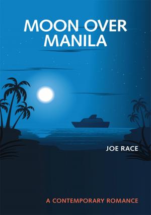 Cover of the book Moon over Manila by Pixie Birkitt