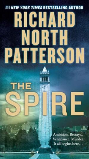 Cover of the book The Spire by Dave King, Michael Kaminer