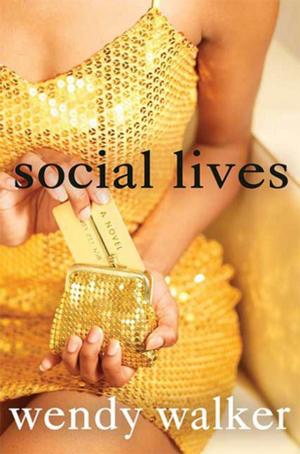 Cover of the book Social Lives by Tricia Fields