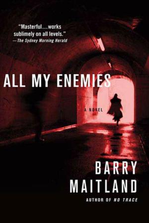 Cover of the book All My Enemies by Dr. Nathaniel Frank