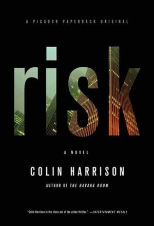 Cover of the book Risk by Alexander Weinstein