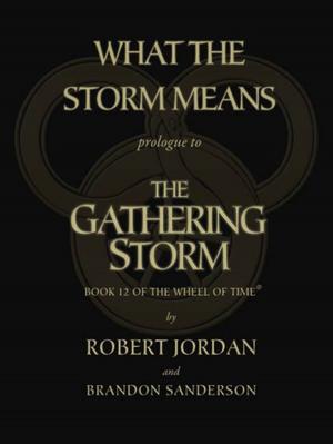 Cover of the book What the Storm Means: Prologue to the Gathering Storm by Seanan McGuire