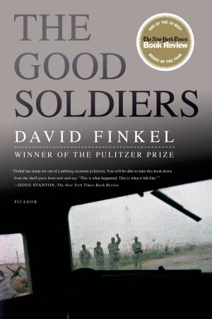 Cover of the book The Good Soldiers by Renny deGroot