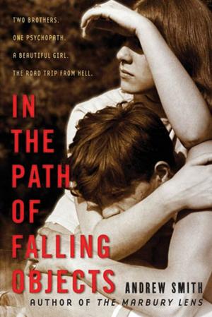 Cover of the book In the Path of Falling Objects by Jordan Sonnenblick