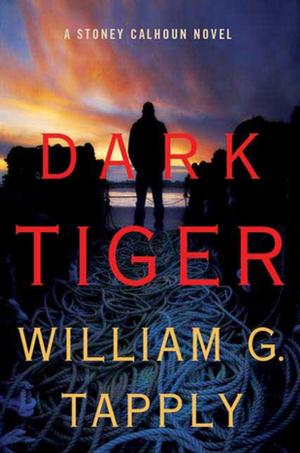 Cover of the book Dark Tiger by Roshani Chokshi