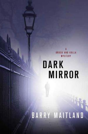 Book cover of Dark Mirror