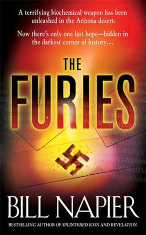 Cover of the book The Furies by Robert Rave