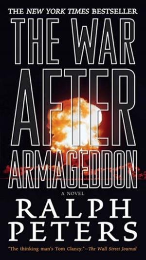 Cover of the book The War After Armageddon by Morgan Llywelyn