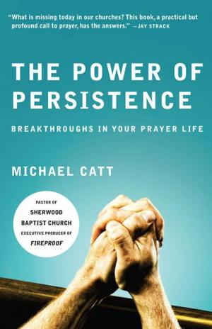 Cover of the book The Power of Persistence by Marvin  D. Hinten