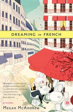 Cover of the book Dreaming in French by RaeAnne Hadley