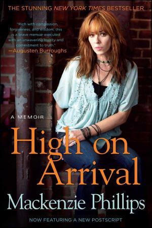 Cover of the book High On Arrival by Teresa Mummert