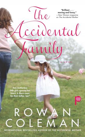Book cover of The Accidental Family