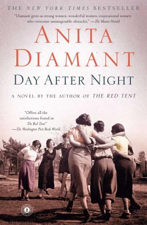 bigCover of the book Day After Night by 