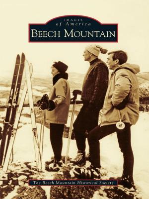 Cover of the book Beech Mountain by Gerald E. Naftaly