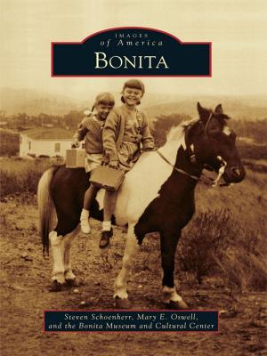 Cover of the book Bonita by John Prins