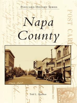Cover of the book Napa County by Sandra Pollard