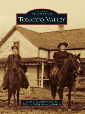 Cover of the book Tobacco Valley by Marcelle R. Wilson, Richard Fetzer