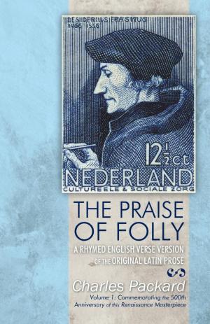 Cover of the book The Praise of Folly by Jeanne McCann