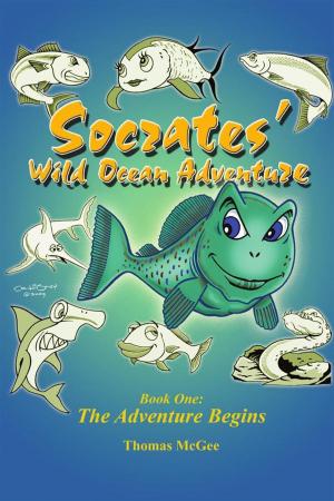 Cover of the book Socrates’ Wild Ocean Adventure by Robert A. Jones