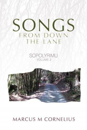 Cover of the book Sopolyrimu Volume 2 by sabra morgan